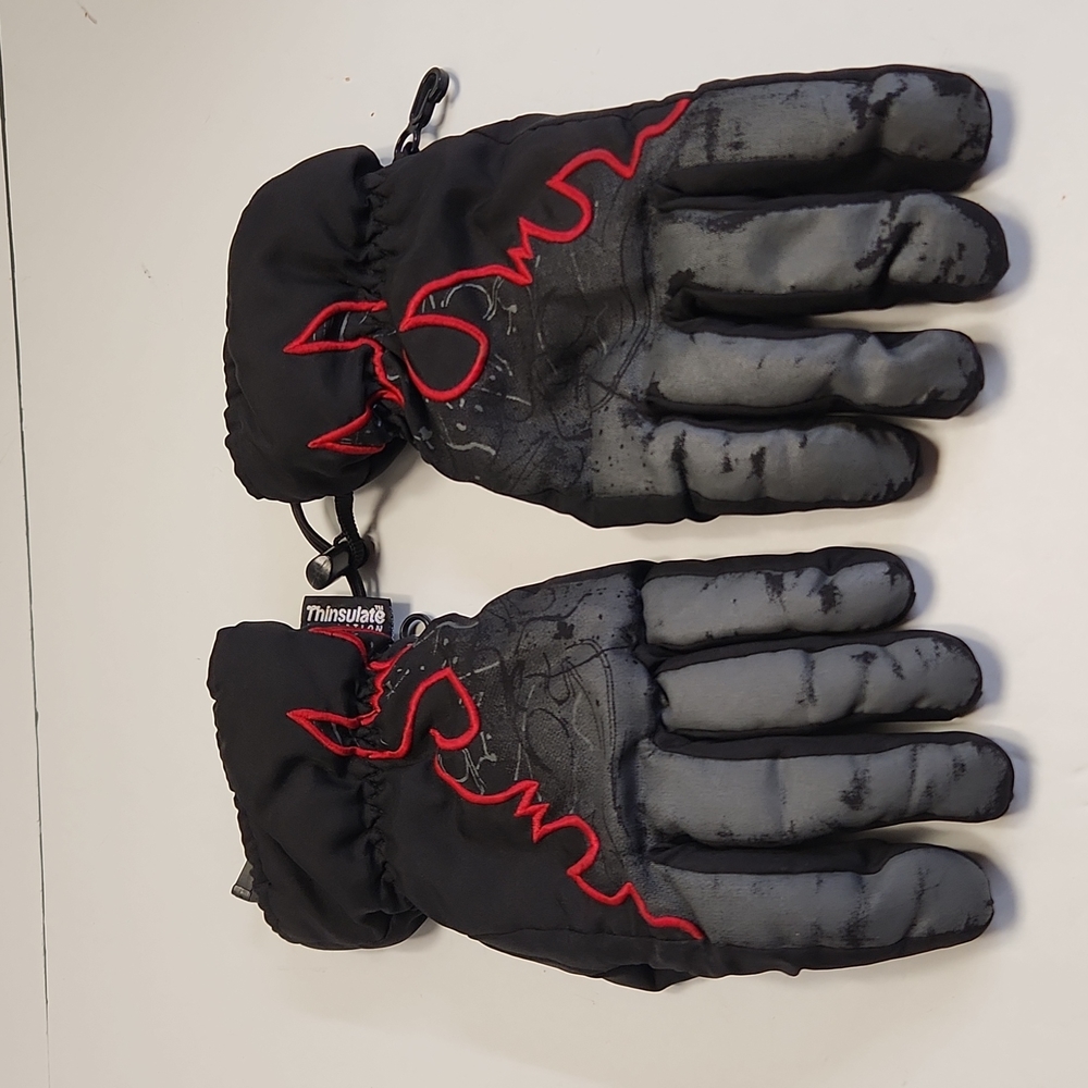 Thinsulate 40 Gram Winter Gloves